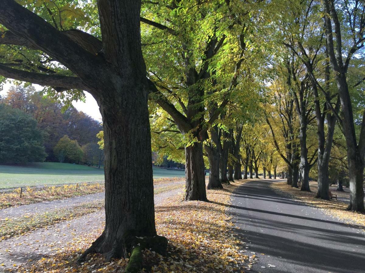 Suite Mit Blick Auf Die Lichtentaler Allee Μπάντεν-Μπάντεν Εξωτερικό φωτογραφία