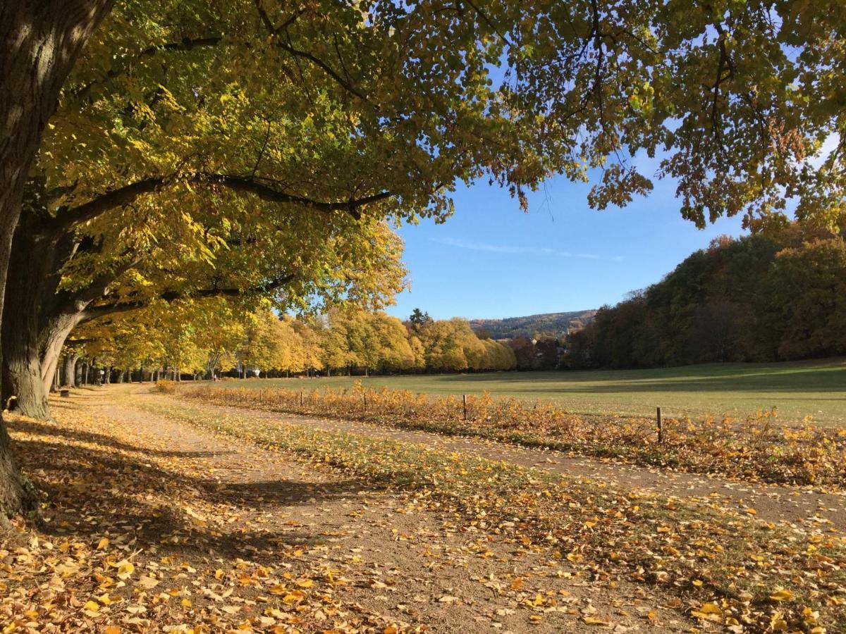 Suite Mit Blick Auf Die Lichtentaler Allee Μπάντεν-Μπάντεν Εξωτερικό φωτογραφία